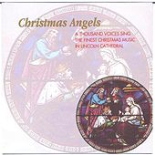 Thumbnail for the Lincoln Cathedral Choir - Ding dong! Merrily on high link, provided by host site
