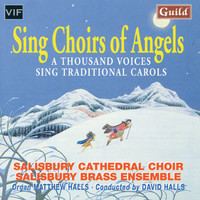 Thumbnail for the Matthew Halls - Ding Dong! Merrily on High. Salisbury Cathedral Choir link, provided by host site