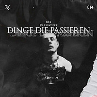 Thumbnail for the TJ - Dinge Die Passieren link, provided by host site