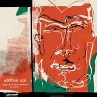 Thumbnail for the Bastien Keb - Dinking in the Shadows of Zizou link, provided by host site