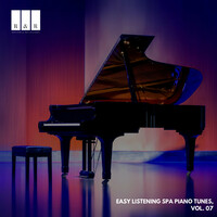 Thumbnail for the Ian Smith - Dinner in Ballroom - Solo Piano in E Major link, provided by host site