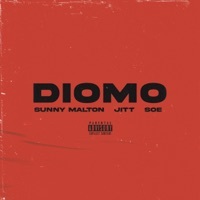 Thumbnail for the Sunny Malton - Diomo link, provided by host site