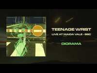 Thumbnail for the Teenage Wrist - "Diorama (Live at Maida Vale - BBC)" (Full link, provided by host site