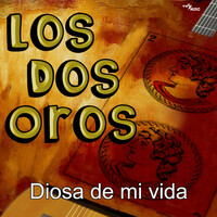 Thumbnail for the Los Dos Oros - Diosa De Mi Vida link, provided by host site