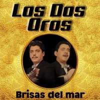 Thumbnail for the Los Dos Oros - Diosa De Mi Vida link, provided by host site