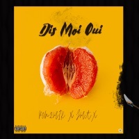 Thumbnail for the Pon2mik - Dis moi oui link, provided by host site