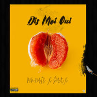 Thumbnail for the Pon2mik - Dis moi oui link, provided by host site