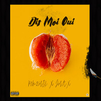 Thumbnail for the Pon2mik - Dis moi oui link, provided by host site