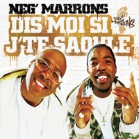 Thumbnail for the Neg'Marrons - Dis moi si j'te saoule link, provided by host site