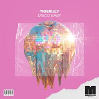 Thumbnail for the Tigerlily - Disco Baby (Extended Mix) link, provided by host site