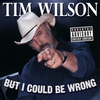 Thumbnail for the Tim Wilson - Disco Ball link, provided by host site