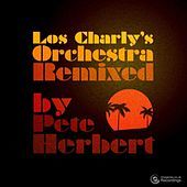 Thumbnail for the Los Charly's Orchestra - Disco Gamma link, provided by host site