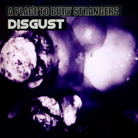 Thumbnail for the A Place to Bury Strangers - Disgust link, provided by host site