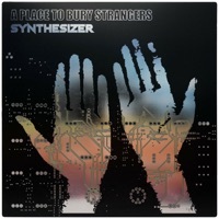 Thumbnail for the A Place to Bury Strangers - Disgust link, provided by host site