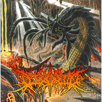 Thumbnail for the Disorder - Disorder link, provided by host site