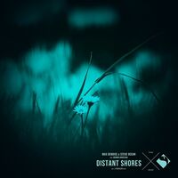Thumbnail for the Max Denoise - Distant Shores (J.Puchler Remix) link, provided by host site