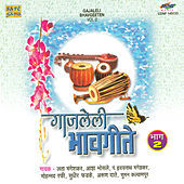 Thumbnail for the Arun Date - Divas Tujhe He Fulayache link, provided by host site