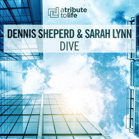 Thumbnail for the Dennis Sheperd - Dive link, provided by host site