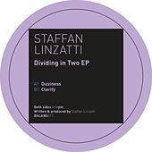 Thumbnail for the Staffan Linzatti - Dividing in Two link, provided by host site