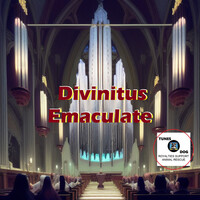 Thumbnail for the The Sound - Divinitus Emaculate link, provided by host site
