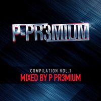 Thumbnail for the Palace - DJ Pr3mium Compliatlion, Vol.1 link, provided by host site