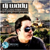 Thumbnail for the DJ Wady - DJ Wady Collection Remixes Vol 3 link, provided by host site