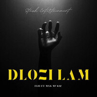 Thumbnail for the Fiji - Dlozi Lam link, provided by host site