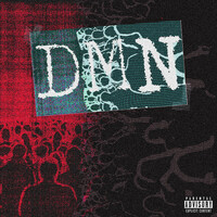 Thumbnail for the NOAN - DMN link, provided by host site