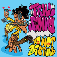 Thumbnail for the Trill Sammy - Do Not Disturb link, provided by host site