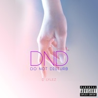 Thumbnail for the D.Lylez - Do Not Disturb link, provided by host site