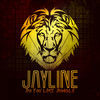 Thumbnail for the Jay-Line - Do You Like Jungle LP link, provided by host site