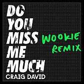 Thumbnail for the Craig David - Do You Miss Me Much (Wookie Remix) link, provided by host site