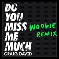 Thumbnail for the Craig David - Do You Miss Me Much (Wookie Remix) link, provided by host site