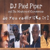 Thumbnail for the DJ Pied Piper - Do You Really Like It? (Radio Edit) link, provided by host site