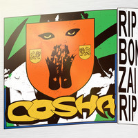 Thumbnail for the Cosha - Do You Wanna Dance link, provided by host site