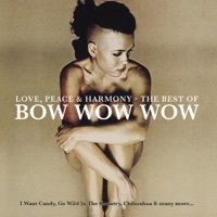 Thumbnail for the Bow Wow Wow - Do You Wanna Hold Me? link, provided by host site