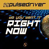 Thumbnail for the Pulsedriver - Do You Want It Right Now link, provided by host site