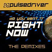Thumbnail for the Pulsedriver - Do You Want It Right Now link, provided by host site