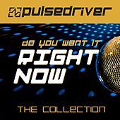 Thumbnail for the Pulsedriver - Do You Want It Right Now (The Collection) link, provided by host site
