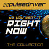 Thumbnail for the Pulsedriver - Do You Want It Right Now (The Collection) link, provided by host site