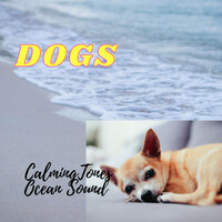 Thumbnail for the Deep Focus - Dogs: Calming Tones Ocean Sound link, provided by host site