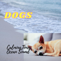 Thumbnail for the Deep Focus - Dogs: Calming Tones Ocean Sound link, provided by host site