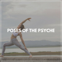 Thumbnail for the Yoga - Dolphin link, provided by host site
