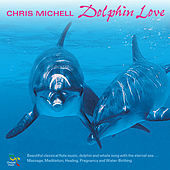 Thumbnail for the Chris Mitchell - Dolphin Love link, provided by host site