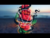 Thumbnail for the Kill The Noise - Dolphin On Wheels with Dillon Francis link, provided by host site