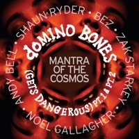 Thumbnail for the Mantra Of The Cosmos - Domino Bones (Gets Dangerous) [Radio Edit] link, provided by host site