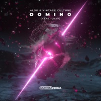Thumbnail for the Alok - Domino [Extended Mix] link, provided by host site