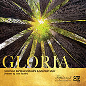 Thumbnail for the Tafelmusik Baroque Orchestra - Dominus regnavit: VI. Gloria Patri link, provided by host site