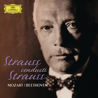 Thumbnail for the Richard Strauss - Don Quixote, Op.35: 14. Finale (Sehr ruhig) link, provided by host site