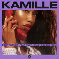 Thumbnail for the Kamille - Don't Answer [Crazy Cousinz Remix] link, provided by host site